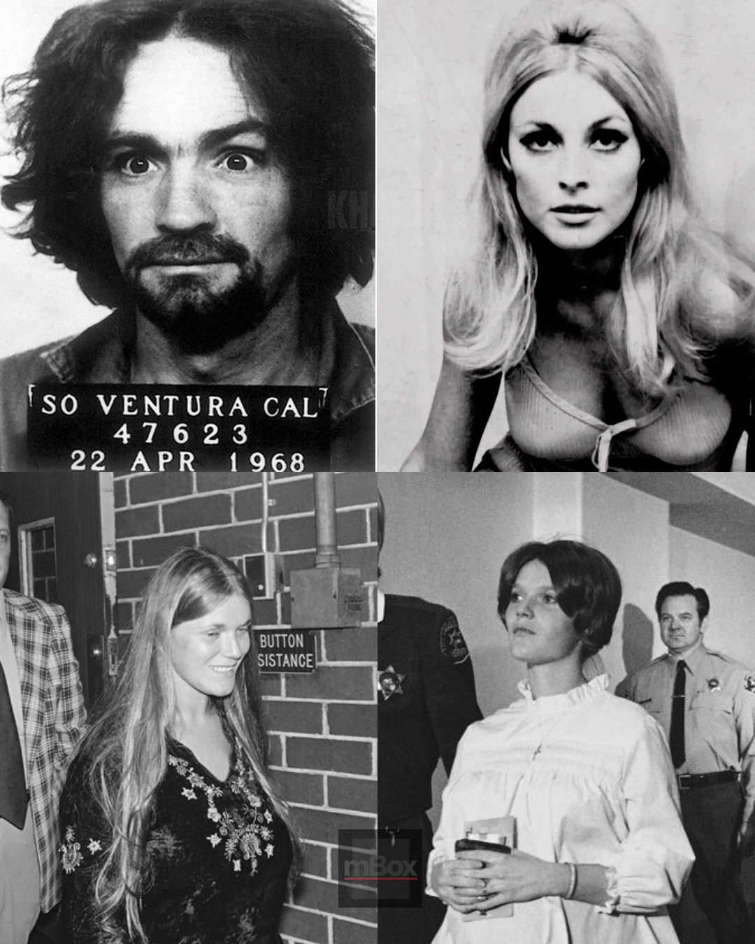 THIS IS SICKENING! How did a wholesome girl next door born right here in Maine end up steering Charles Manson’s bloodthirsty cult straight into America's most INFAMOUS NIGHT OF TERROR 50 years ago?