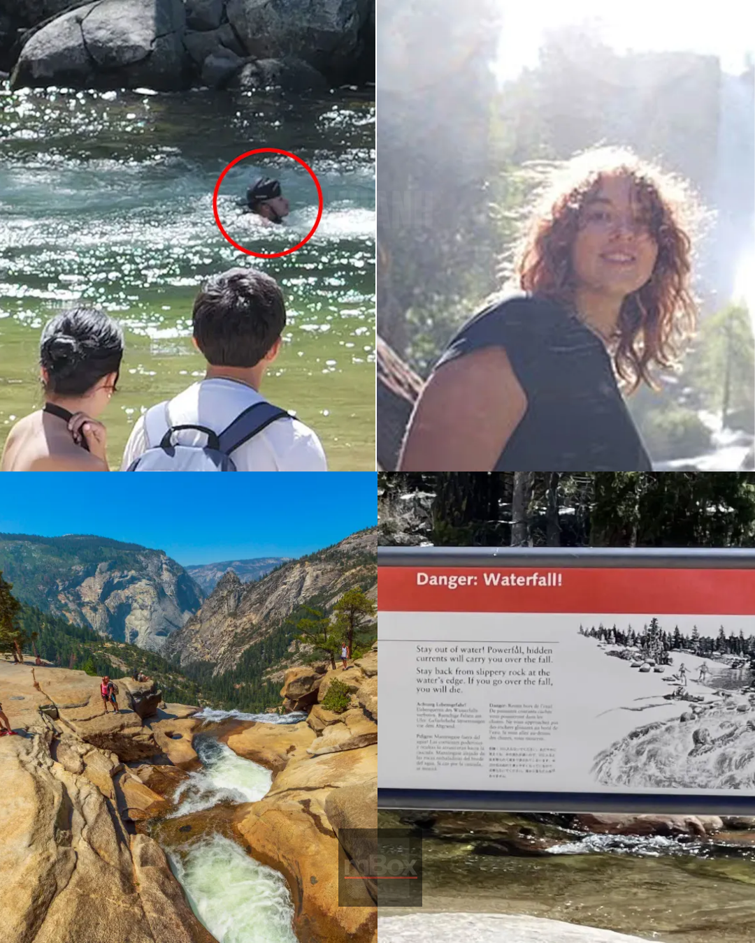 Utterly chilling sight! Yosemite tourist’s innocent vacation snapshot accidentally captures a CHILLING TRUTH hiding in plain sight