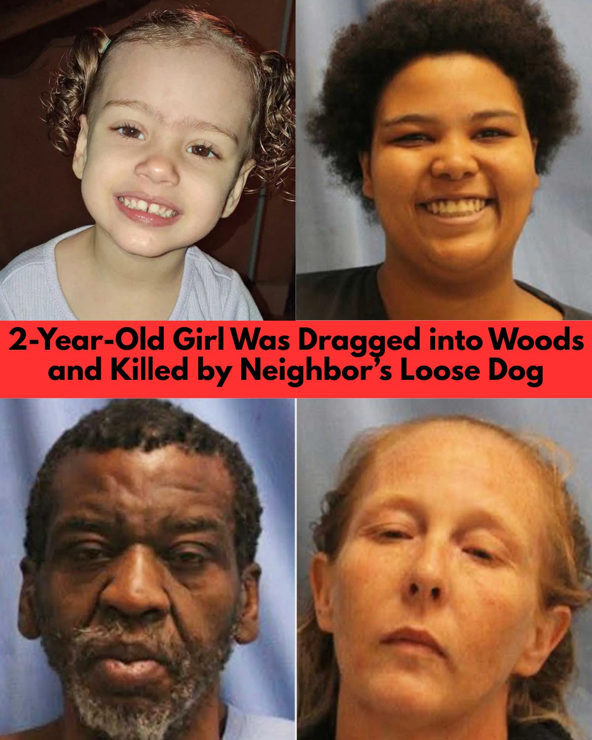 Three Charged Months After 2-Year-Old Was Dragged Into the Woods and Killed by Neighbor’s Dog
