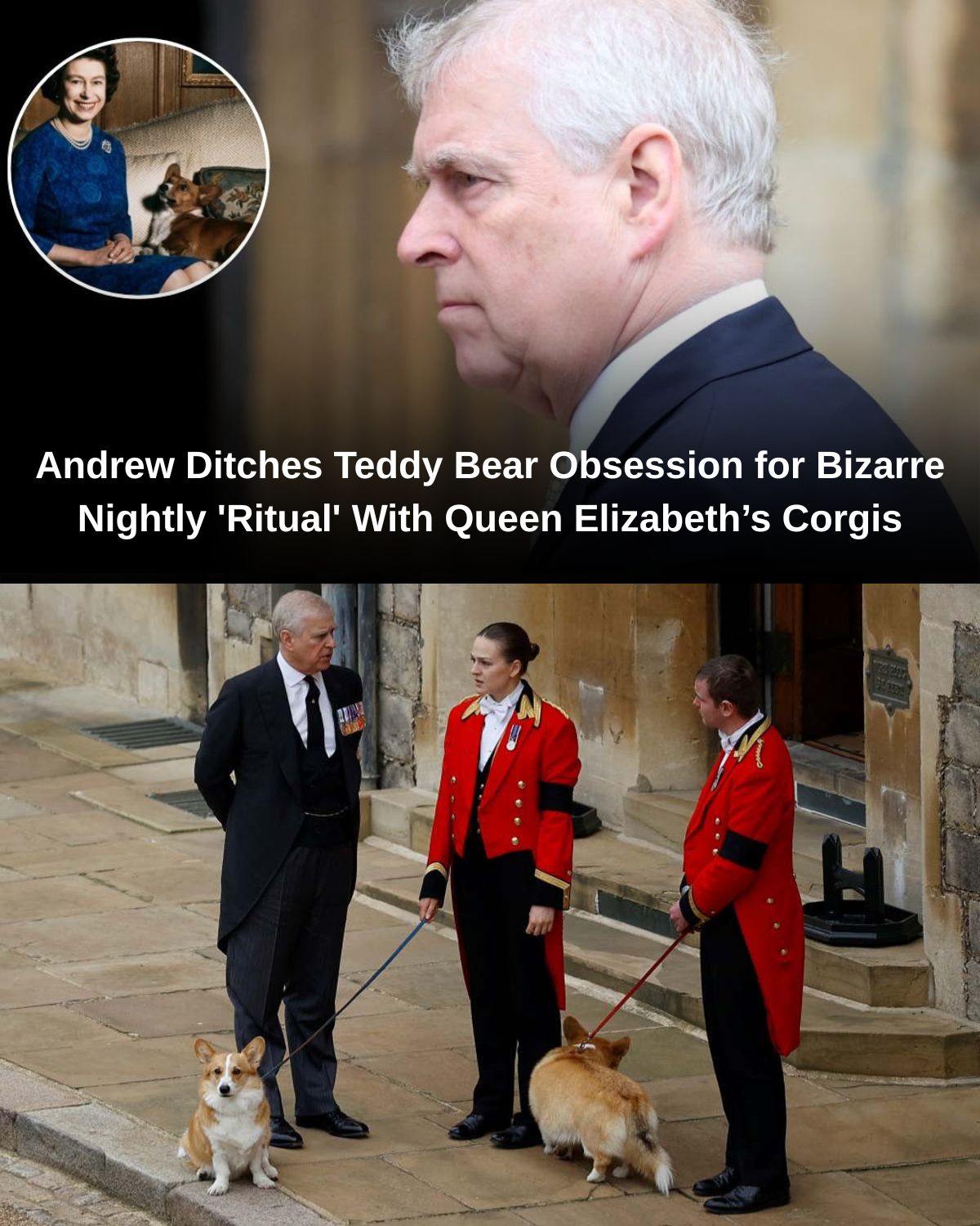 Andrew Ditches Teddy Bear Obsession for Bizarre Nightly ‘Ritual’ With Queen Elizabethโs Corgis
