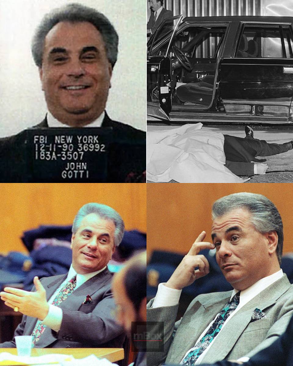 WHAT REVEALED inside the secret files of the Mafia's most ruthless boss?