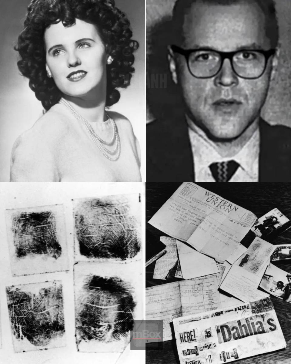 Black Dahlia cold case takes a STUNNING TURN as police finally test boyfriend's fingerprints after 79 years. Long overdue truth!
