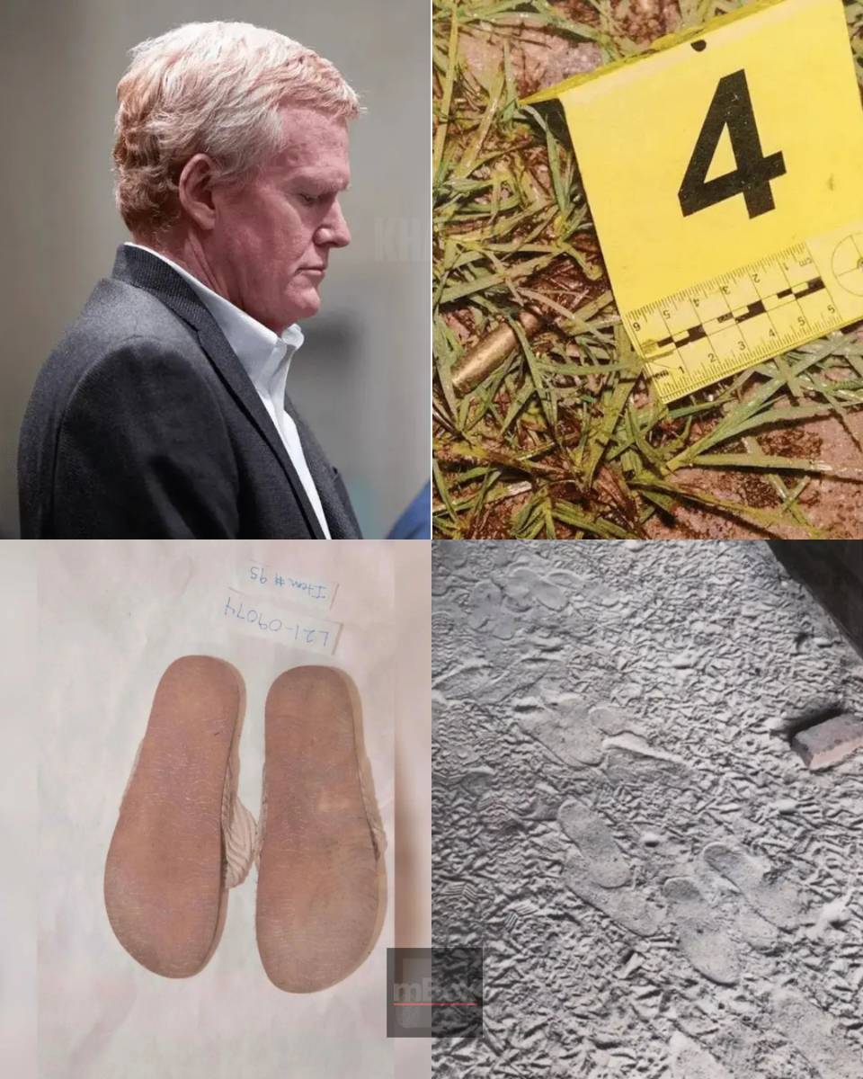 Inside the Murdaugh Files: What Do the Newly Uncovered Photos Hide After Alex’s Retrial Order? ABSOLUTELY SHOCKING REVELATIONS.