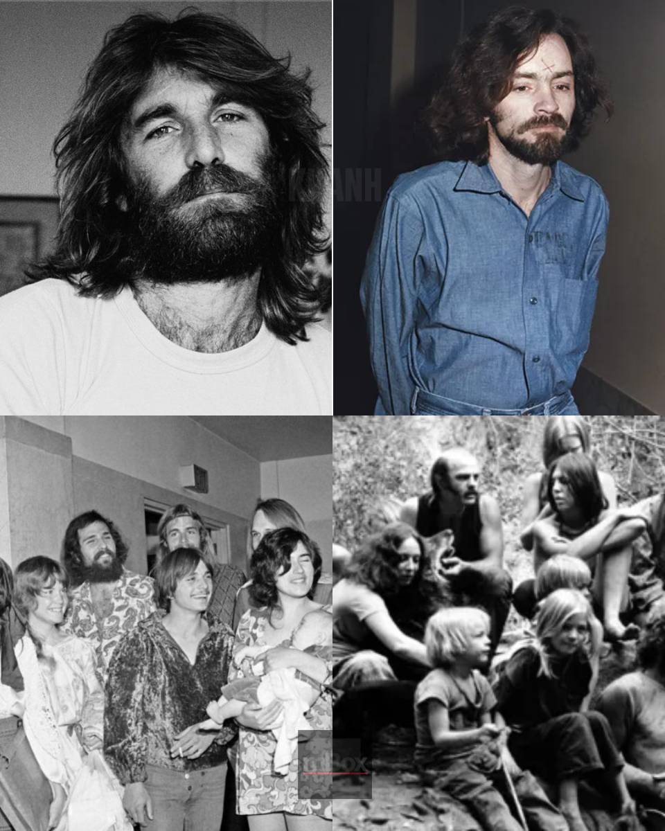 THE HARROWING PRICE OF HOSPITALITY: Why Dennis Wilson Bankrolled the Manson Family’s SECRET Medical Crisis