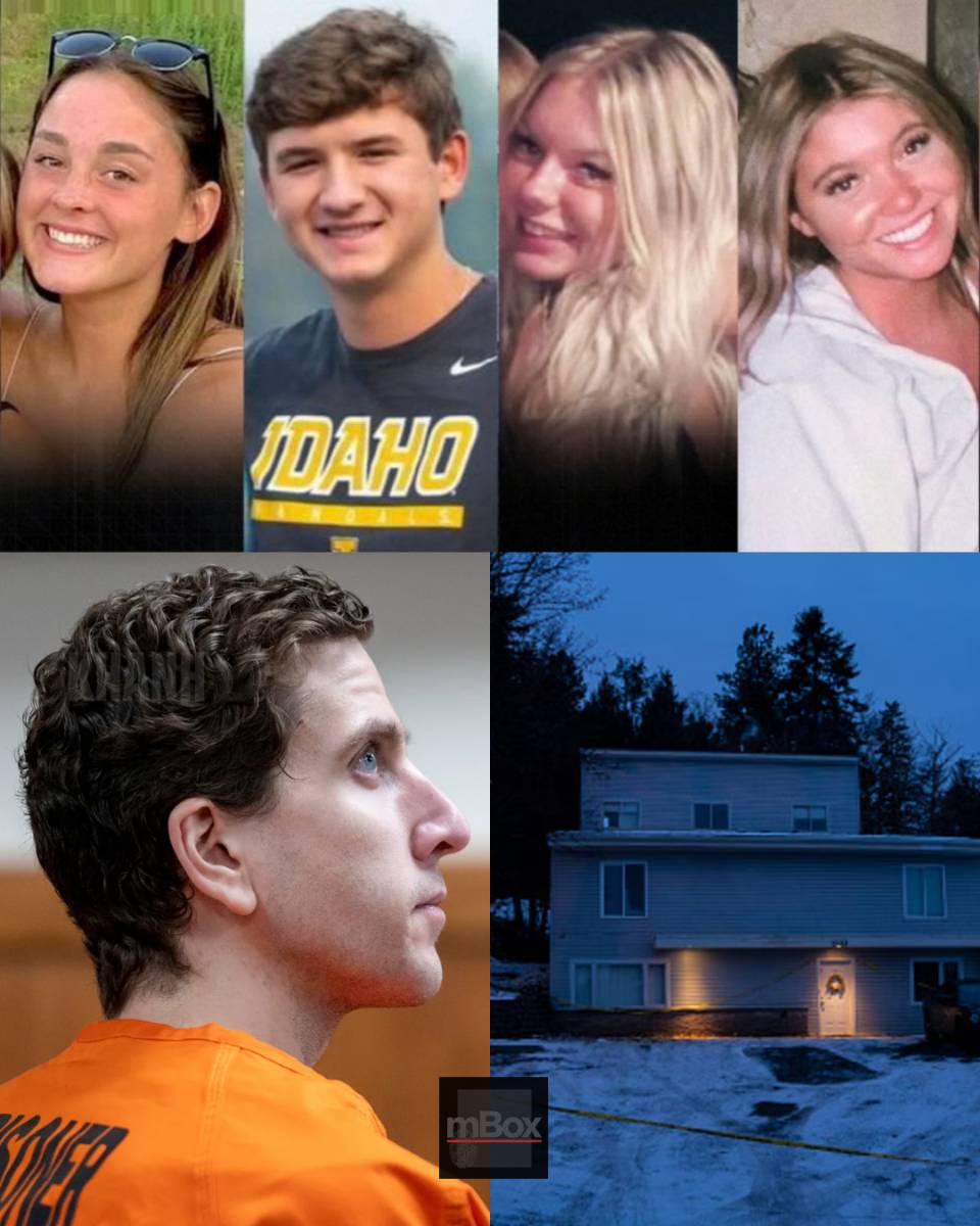 WHAT REALLY HAPPENED? New book uncovers stunning details inside the Idaho murders house