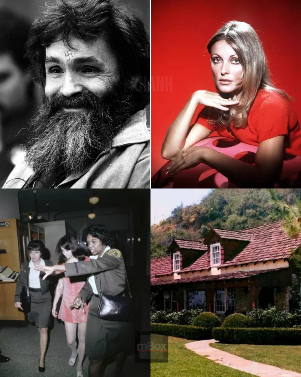 Inside the Hollywood Starlet's Tragic Murder: What REALLY Drove Charles Manson to Target Sharon Tate?