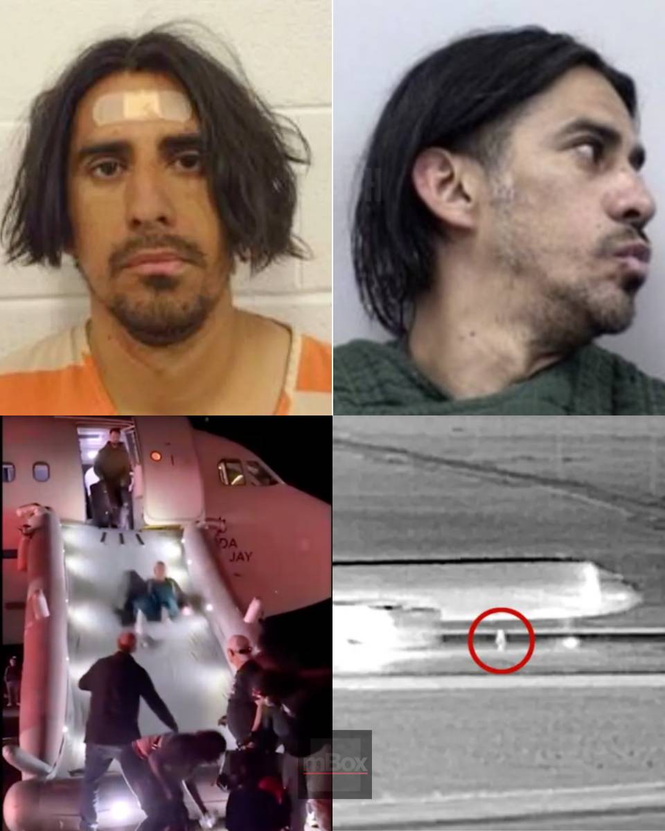 Officials UNVEIL grim details: What really happened inside the Frontier Airlines engine?