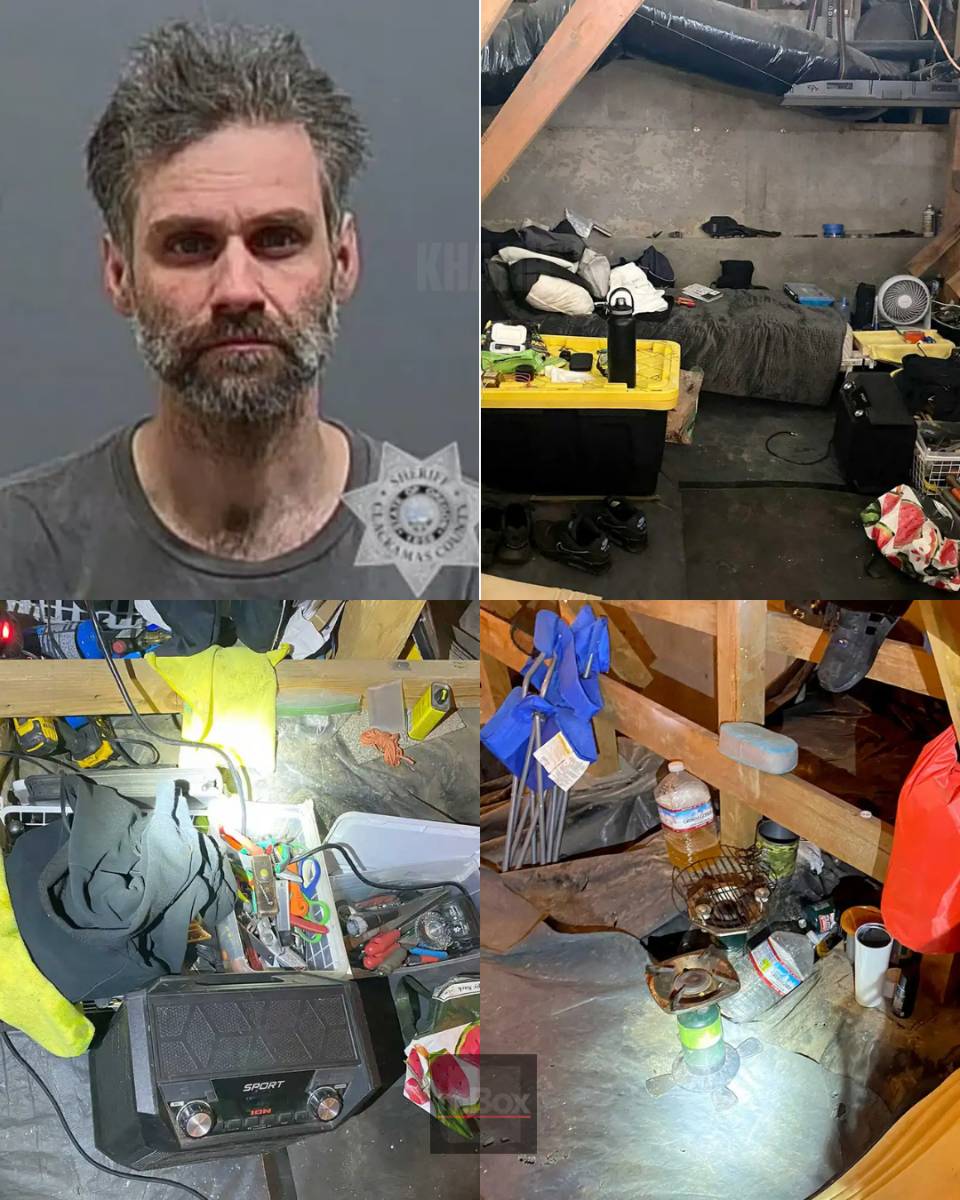 WHO WAS IN THERE? Neighbor’s Discovery Exposes Secret Crawlspace Apartment