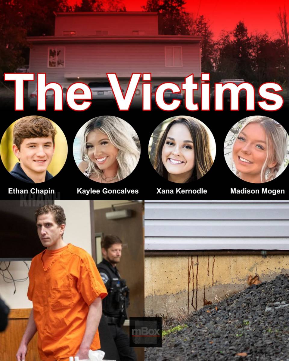 What drove the Idaho suspect? As new details emerge, experts warn of a disturbing internet underbelly that may have fueled the tragedy.