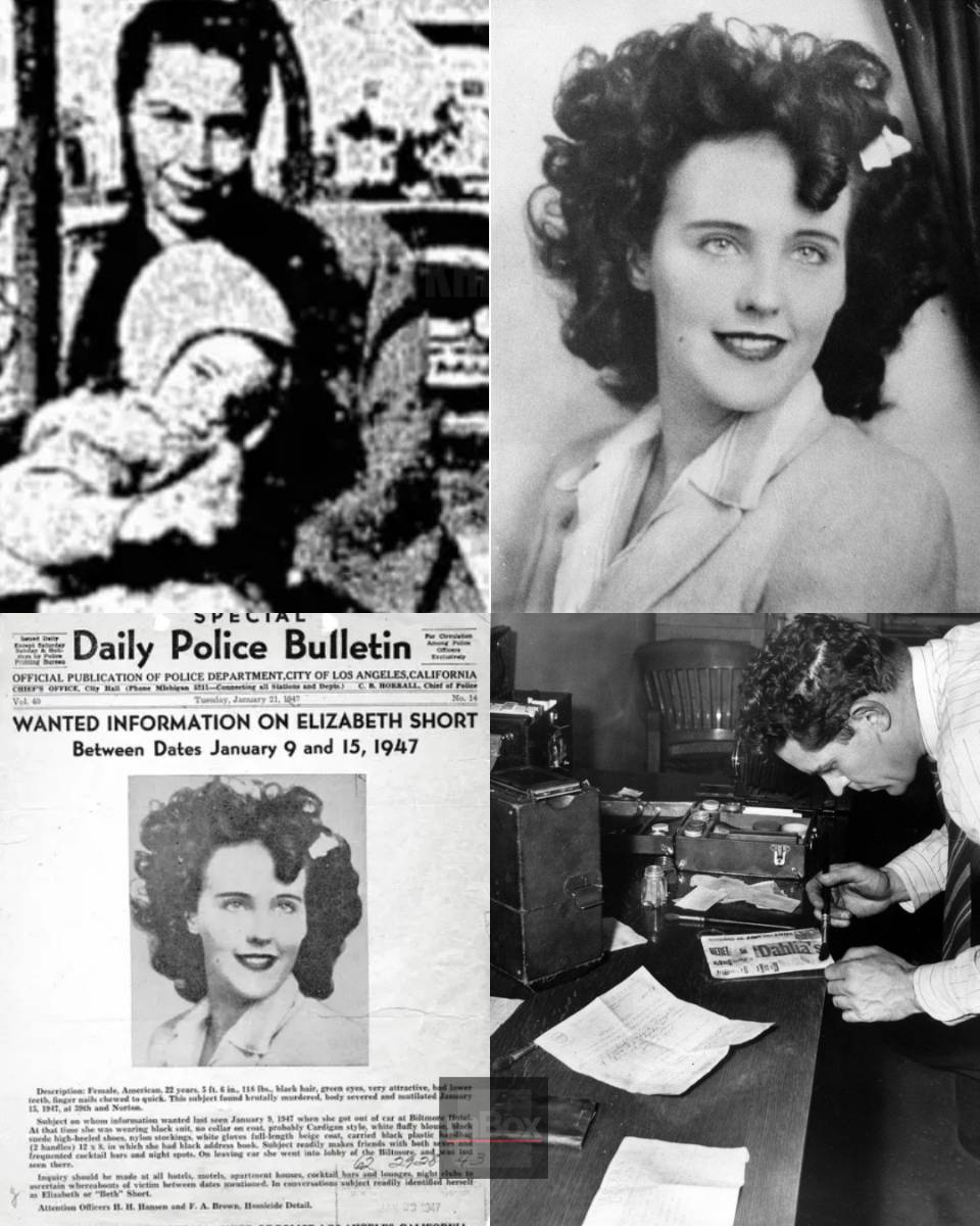 The Black Dahlia UNMASKED? Inside the 1940s LA Serial Killer Theory That Changes Everything