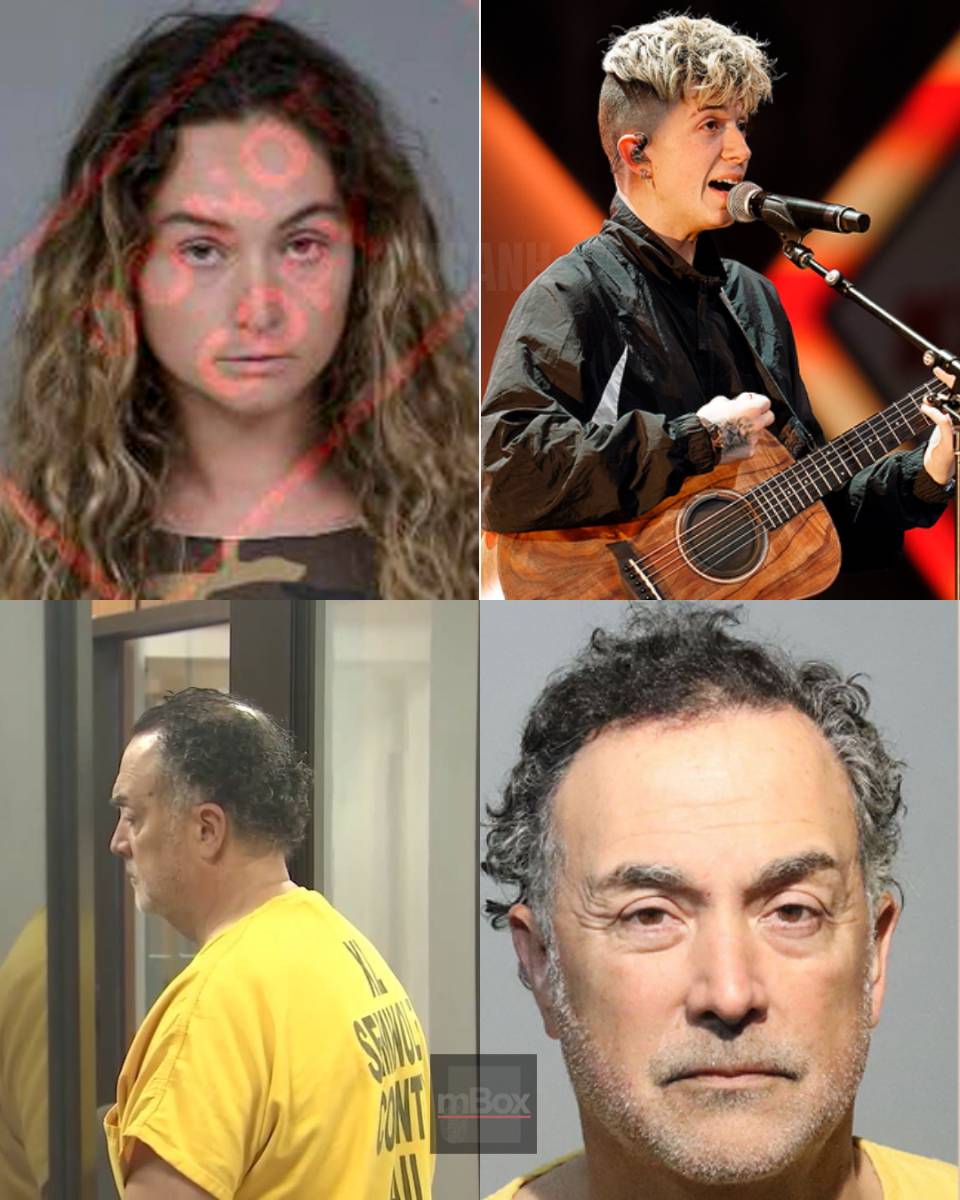 Influencer mom, lawyer dad facing DARK-WEB PLOT charges over boy-band star.