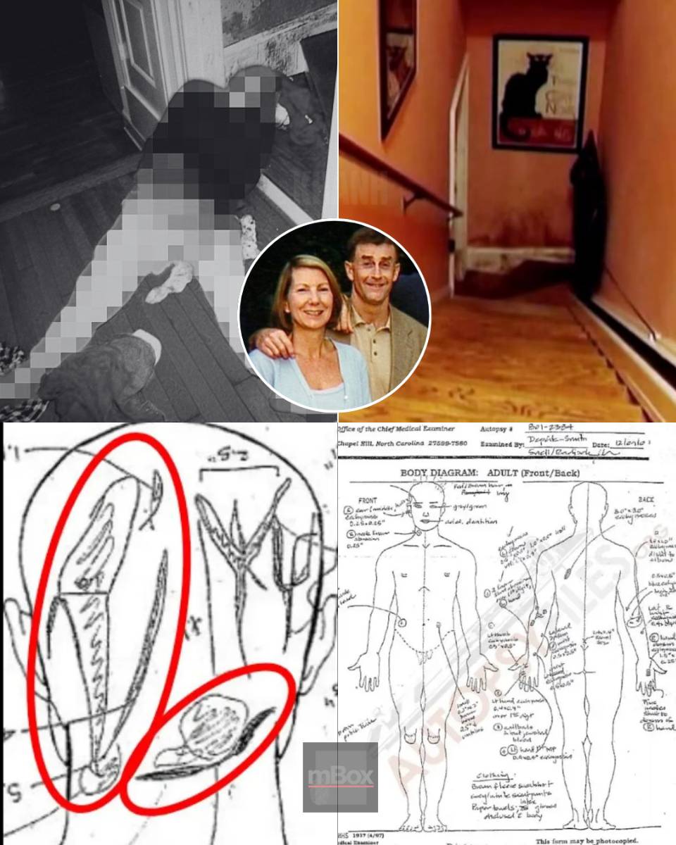 THE STAIRCASE MURDER: Did a novelist script his wife's final moments? WHAT REALLY HAPPENED?