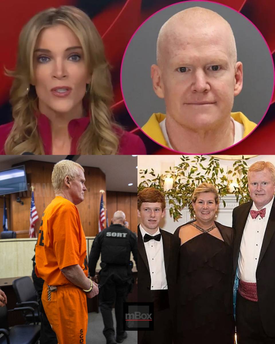 The legal loophole Megyn Kelly says makes Alex Murdaugh ENTITLED to a new trial.