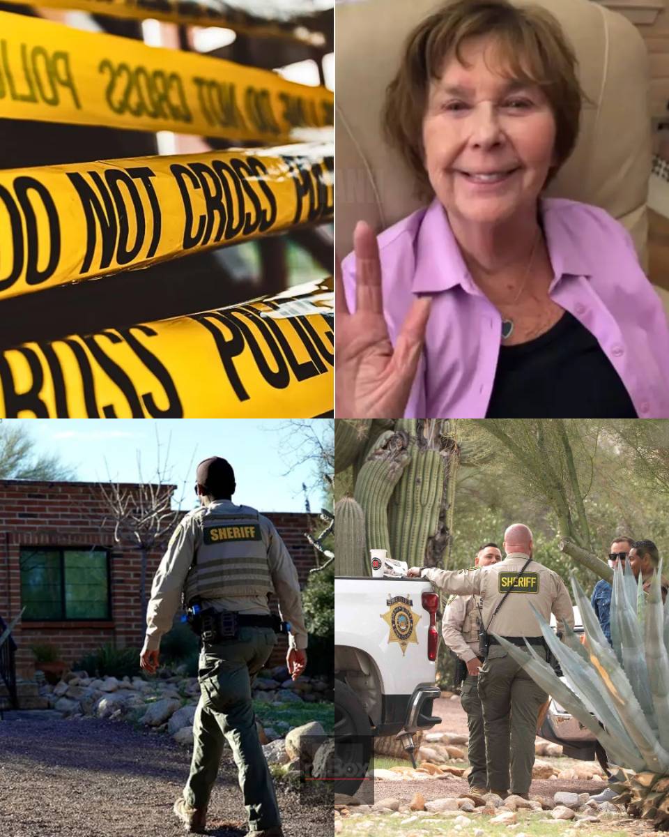 Why Nancy Guthrie’s Evidence Search Could Hinge on ONE DELAYED DISCOVERY, Experts Say. Chilling Wait Ahead!