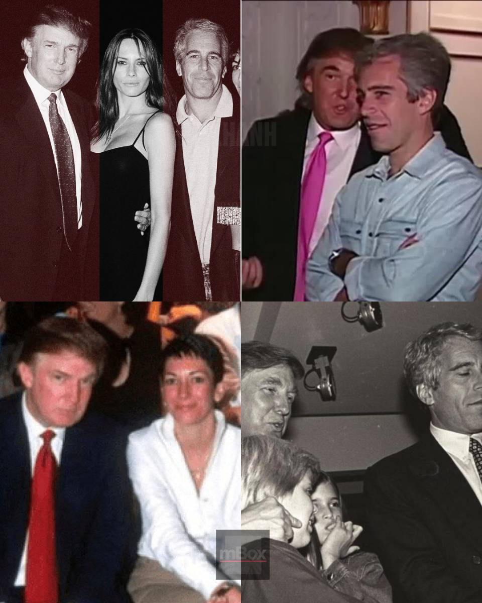 The Epstein Files: What Was HIDDEN in the Vault That Explains the Whole MAGA Movement?