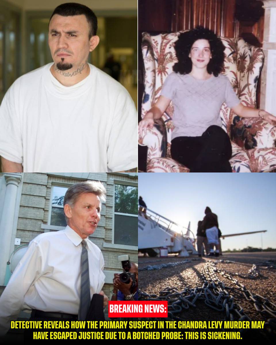Detective reveals how the primary suspect in the Chandra Levy murder may have escaped justice due to a BOTCHED PROBE: This is sickening.