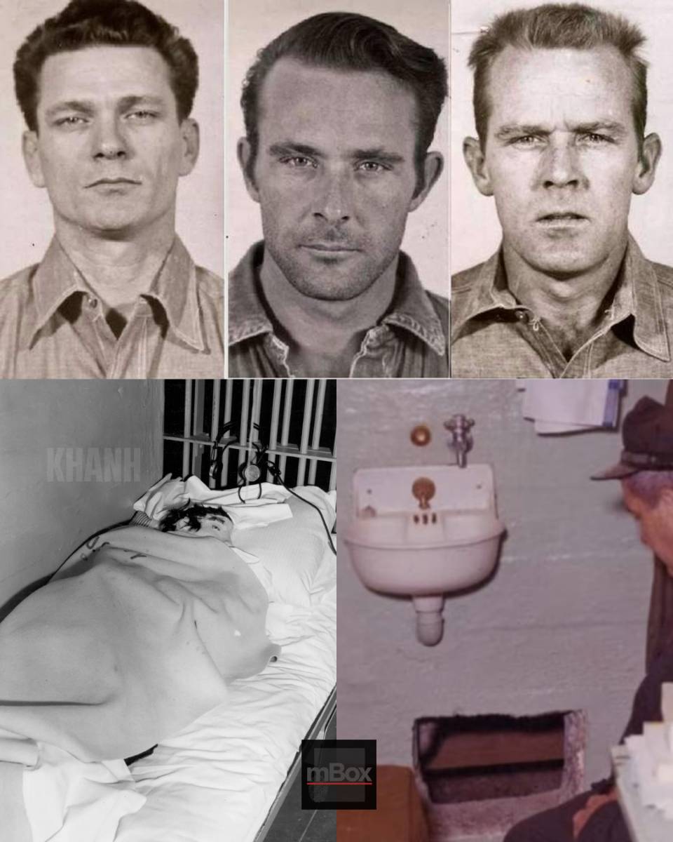 Inside the Rock: Did the FBI UNCOVER the truth about the missing Alcatraz inmates?