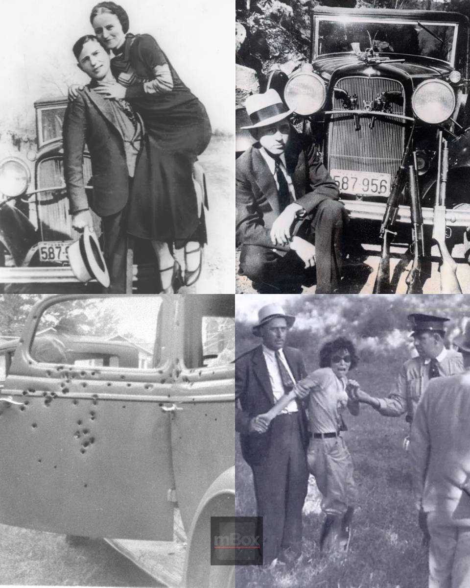 What Really Happened in the Backseat of That Bullet-Riddled Ford V8?