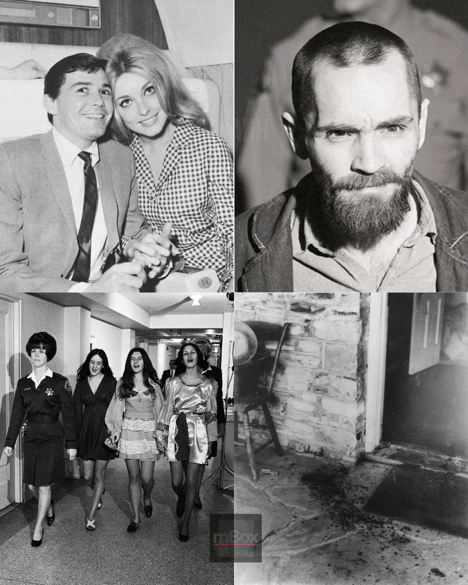 Beyond the Hollywood headlines: The SHATTERED SILENCE of Cielo Drive and the dark reality of the Tate murders.
