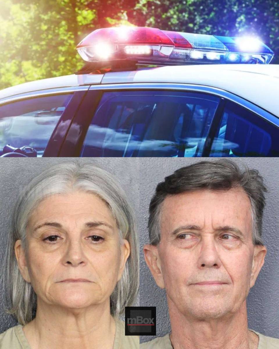 What really happened when a Florida couple intervened in a mother’s parenting choices and triggered a VIOLENT ALTERCATION.