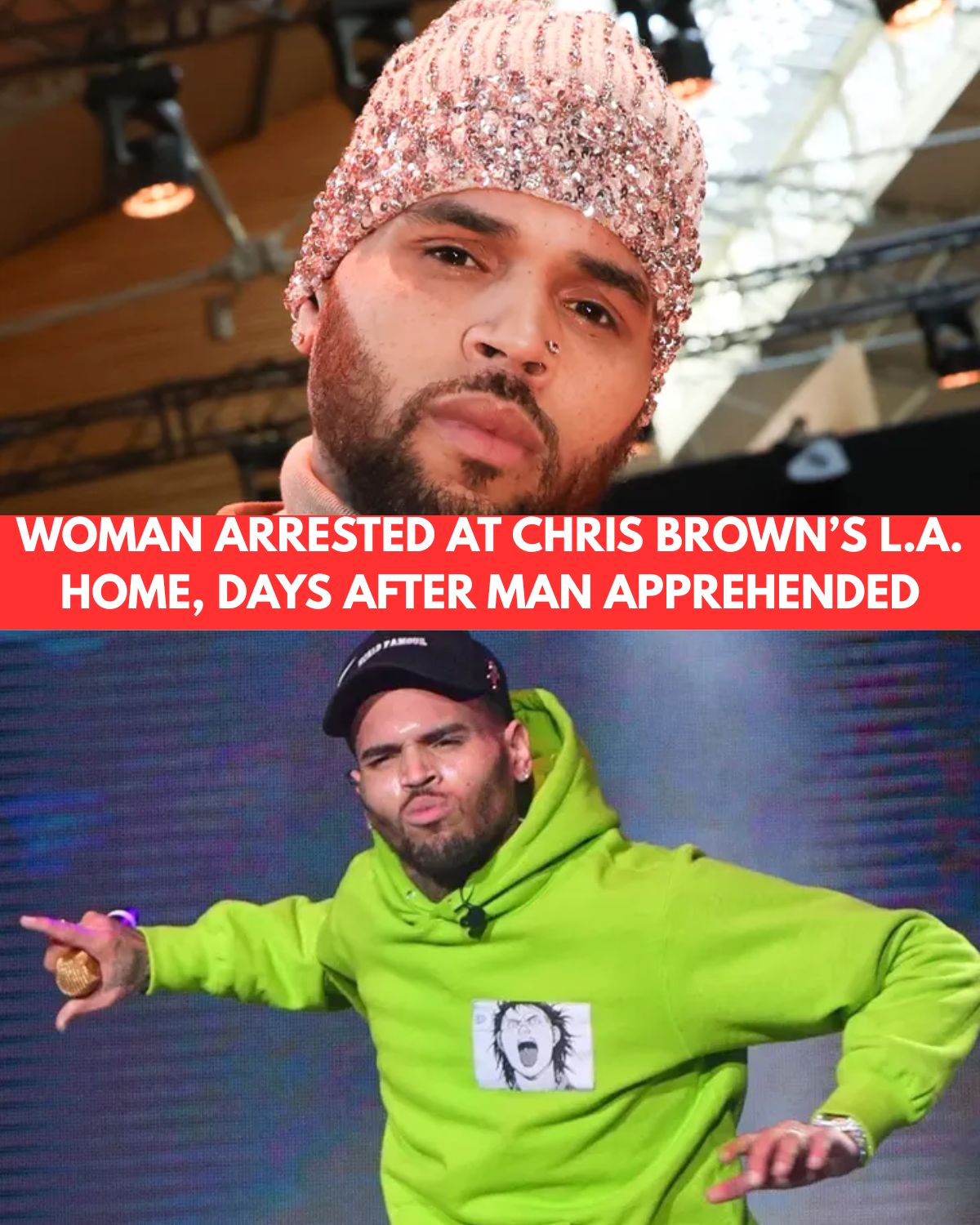 Woman Arrested Outside Chris Brown’s Los Angeles Home After Alleged Trespassing Incident