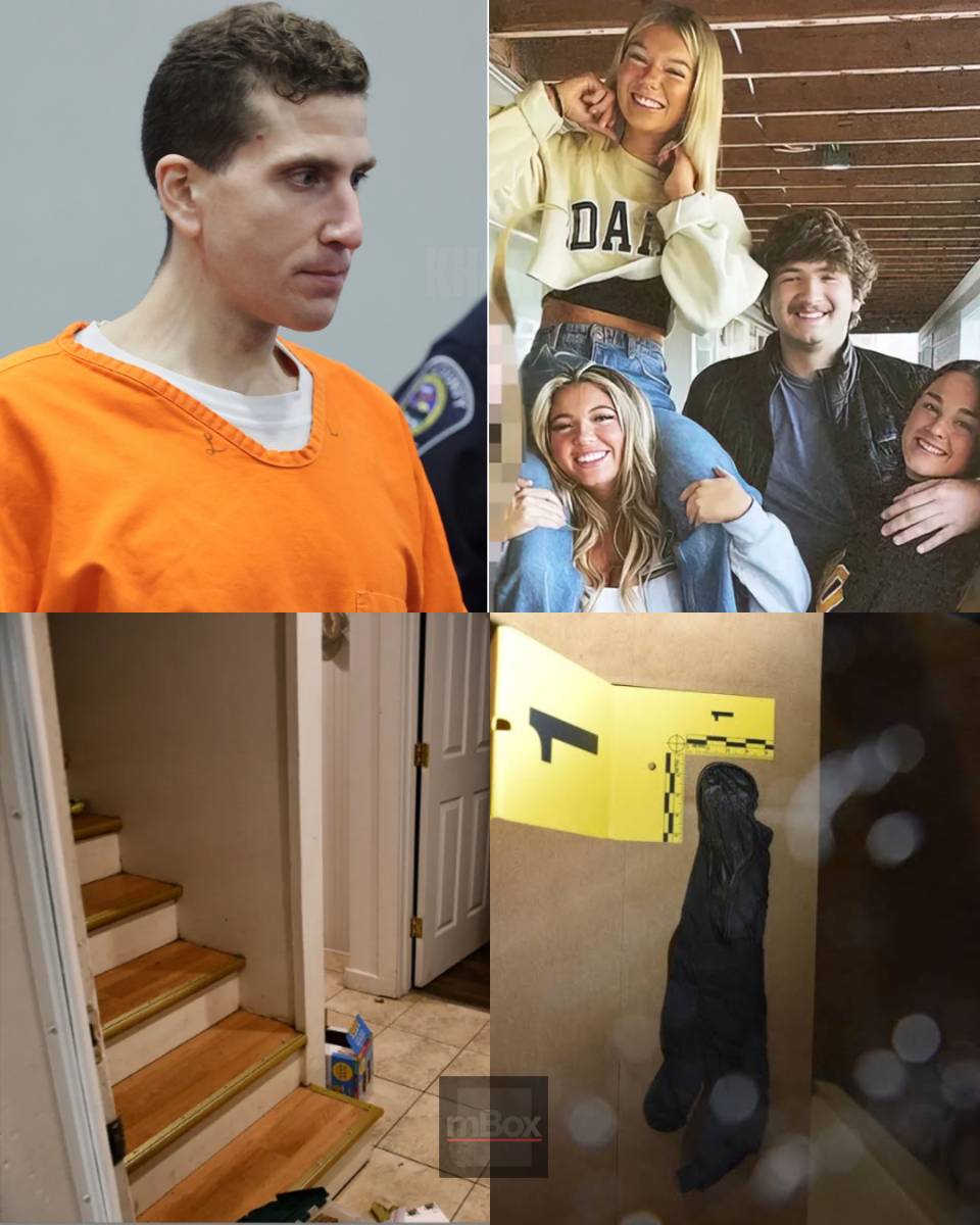 Could Bryan Kohberger's defense strategy completely collapse? CHILLING NEW TWIST! Renowned profiler exposes the unexpected flaw that threatens to destroy the Idaho murder suspect's BLOODY NEW CLAIM