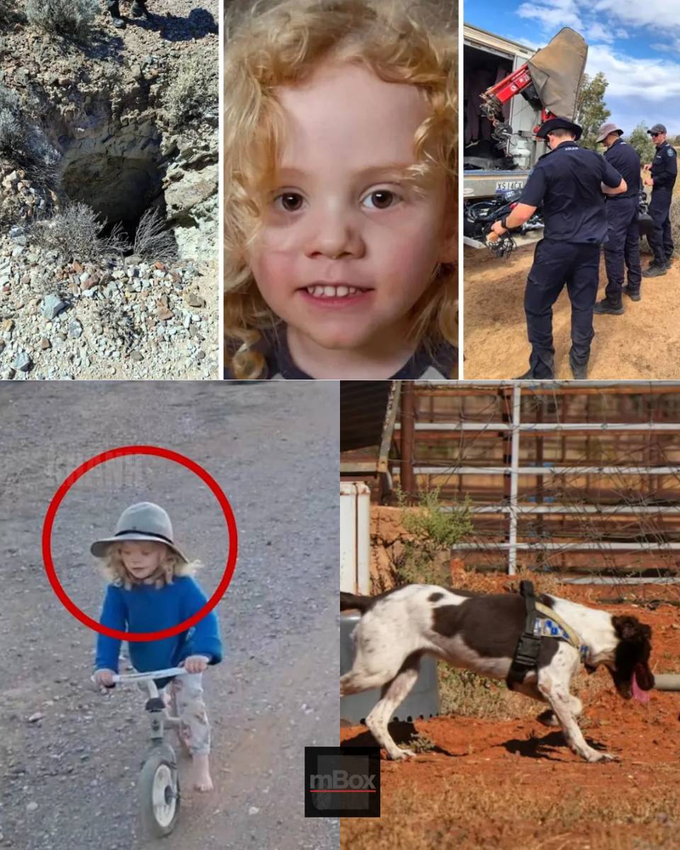 What really happened to missing dog Gus? SHOCKING CLUE discovered by search teams leaves everyone in tears: This is devastating!