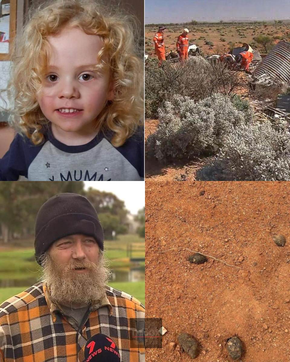 As police officially RULE OUT abduction in the baffling search for missing 4-year-old Gus Lamont, a chilling question arises over what investigators have secretly uncovered. WHAT HAPPENED HERE?