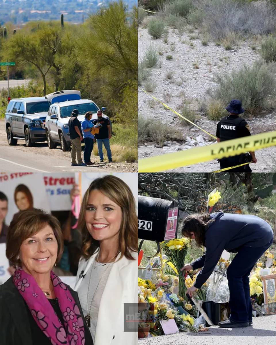 Could this be Nancy Guthrie? Search party hunting for missing woman unearths human remains, but experts reveal a CHILLING DISCOVERY that changes everything...
