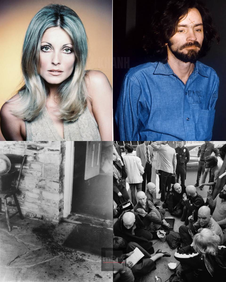 Beyond the Manson Murders: What Are the UNTOLD STORIES of Sharon Tate’s Final Hours That Change Everything? Pure senseless evil!