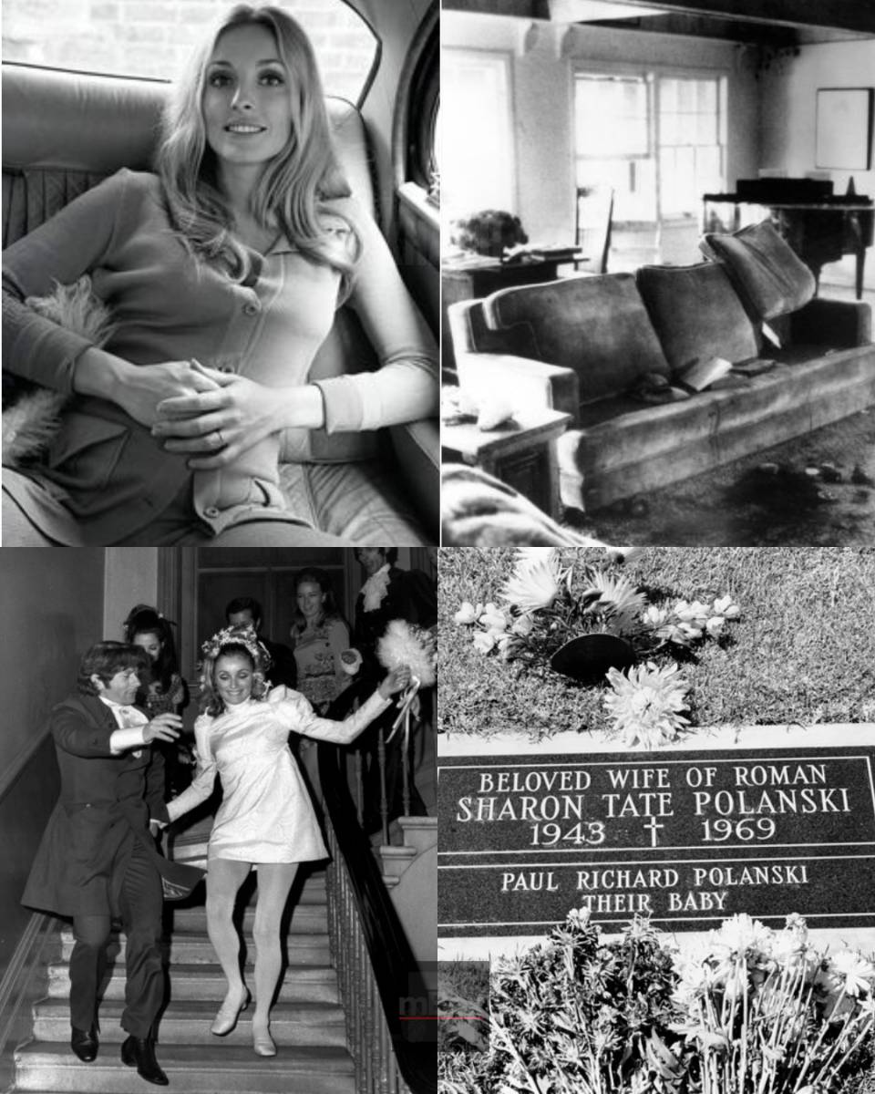 So profoundly shocking! Nearly 56 years after the Manson murders, what do archived records REALLY REVEAL about Sharon Tate's final hours?