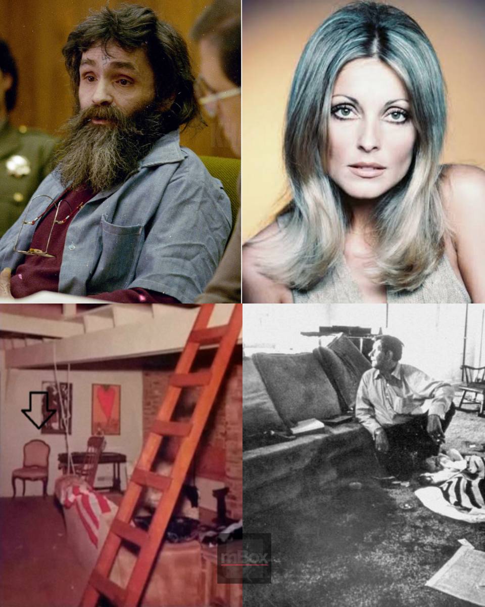 ABSOLUTELY CHILLING! What Charles Manson told his final interviewer about THE TWISTED MOTIVE behind the Sharon Tate murders that changes everything we thought we knew