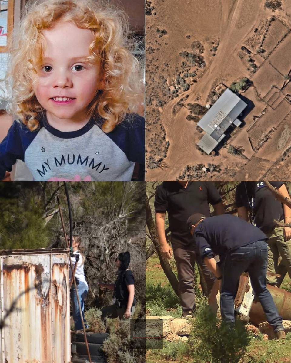 Could a backyard water tank hold the key to missing toddler Gus Lamont's disappearance? Cops launch urgent raid after a SHOCKING NEW BREAKTHROUGH
