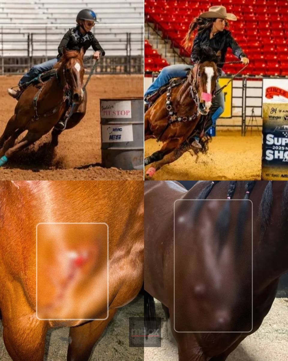This is sickening! What drove a teenage girl to commit this HORRIFIC ACT behind the scenes at a Las Vegas rodeo?