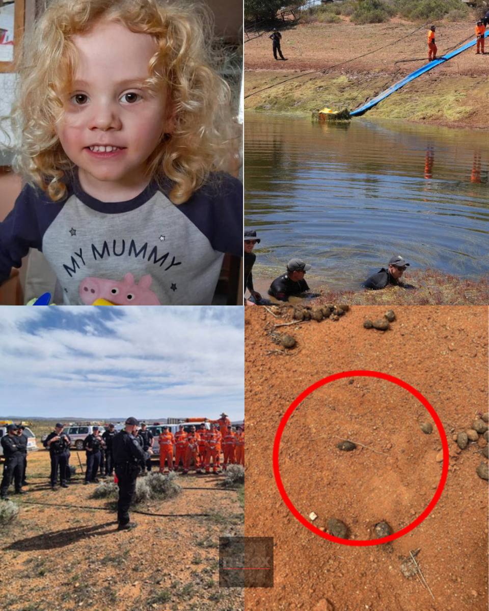 Oh my god! Could a FRESH FOOTPRINT found in the brutal wilderness finally lead an expert tracker to the missing four-year-old boy?