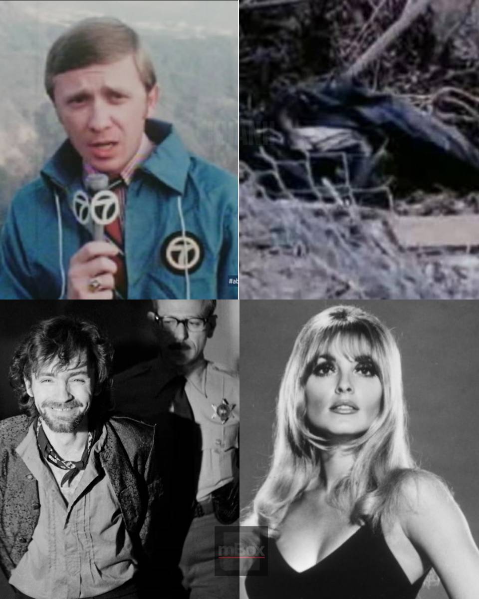An absolute shock! How did a 10-year-old boy and a KABC news crew uncover the chilling clues that cracked the Charles Manson case after a CRUCIAL LAPD BLUNDER?