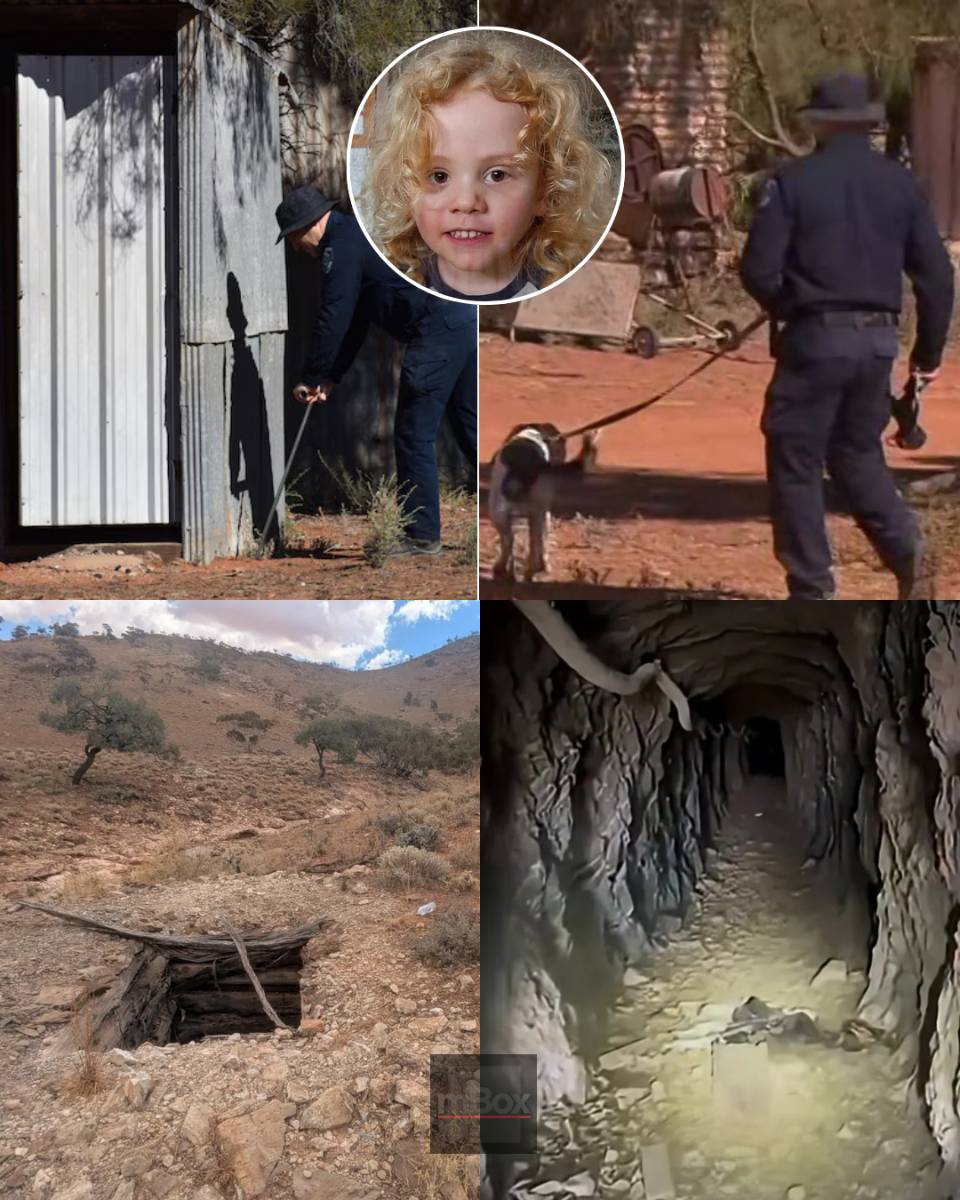 WHAT A NIGHTMARE! As choppers swarm and cadaver dogs hunt for missing toddler Gus Lamont, do newly released photos hold the CHILLING CLUE investigators desperately need?