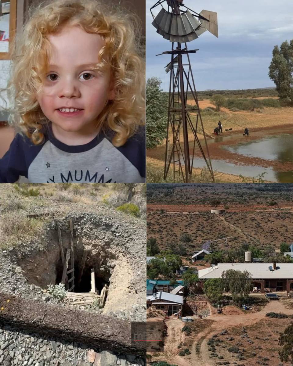 A LIVING NIGHTMARE! Inside the desperate hunt for missing 4-year-old Gus Lamont as experts unveil a CHILLING NEW THREAT stalling investigators: Is the truth being erased?