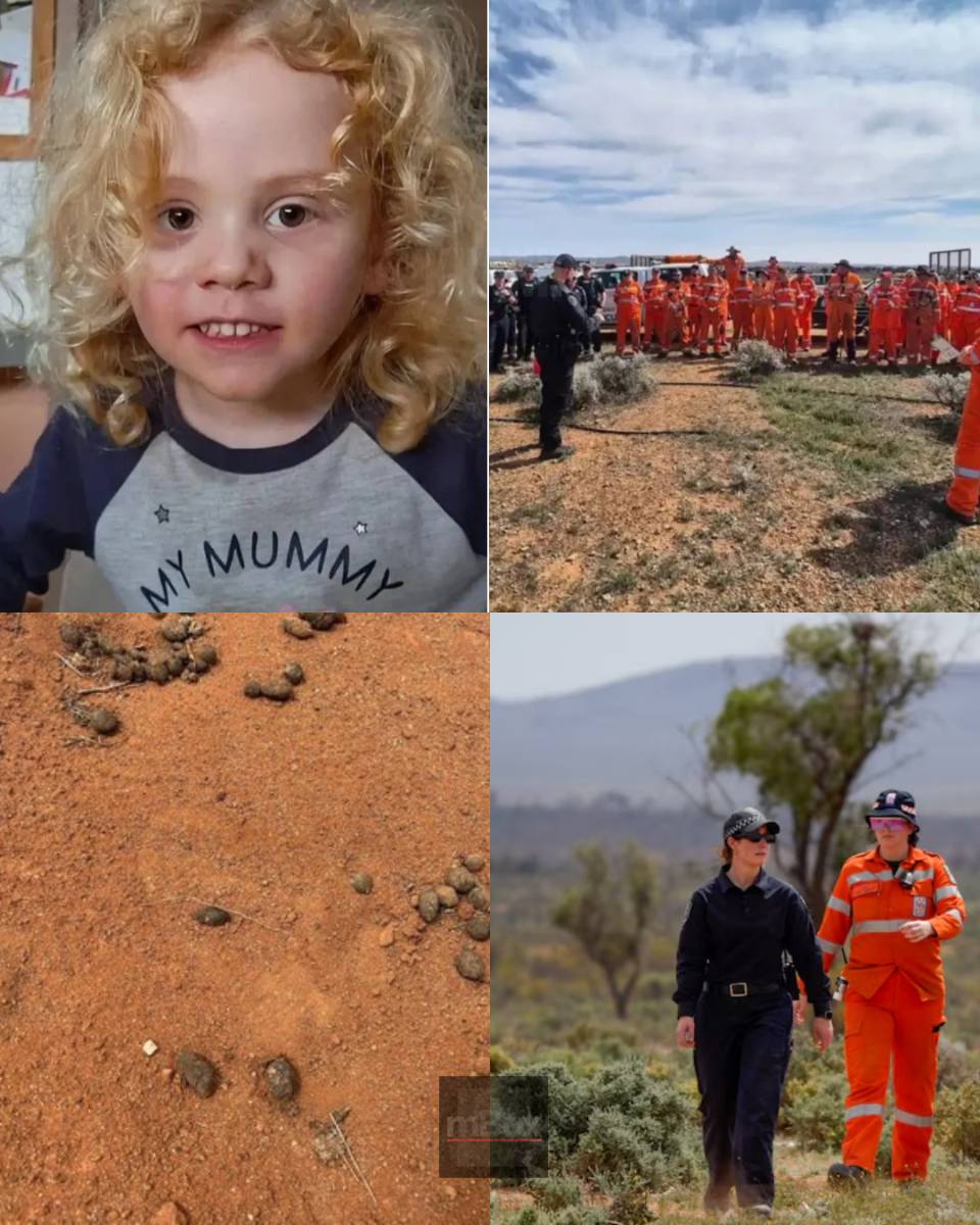 Single Tragic Clue Left in Outback: What Actually Happened to the Missing 4-Year-Old Boy?