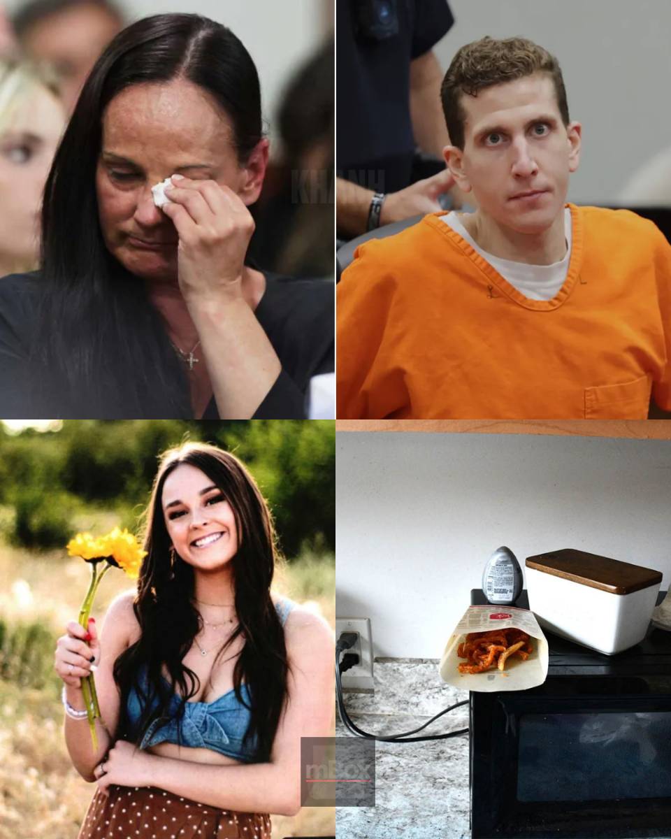 IβM IN SHOCK! What did an Idaho murder victimβs grieving mother experience during 10 months behind bars that led to a SHOCKING TURNING POINT regarding suspected killer Bryan Kohberger?