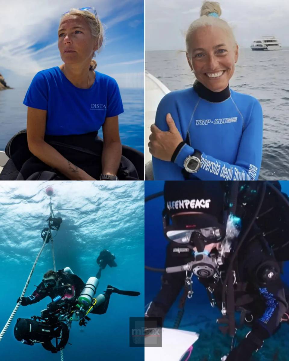 SO UTTERLY HEARTBREAKING! The haunting FINAL WORDS of a brilliant Italian marine biologist have been uncovered after his tragic Maldives diving accident, leaving experts questioning what really happened in the deep