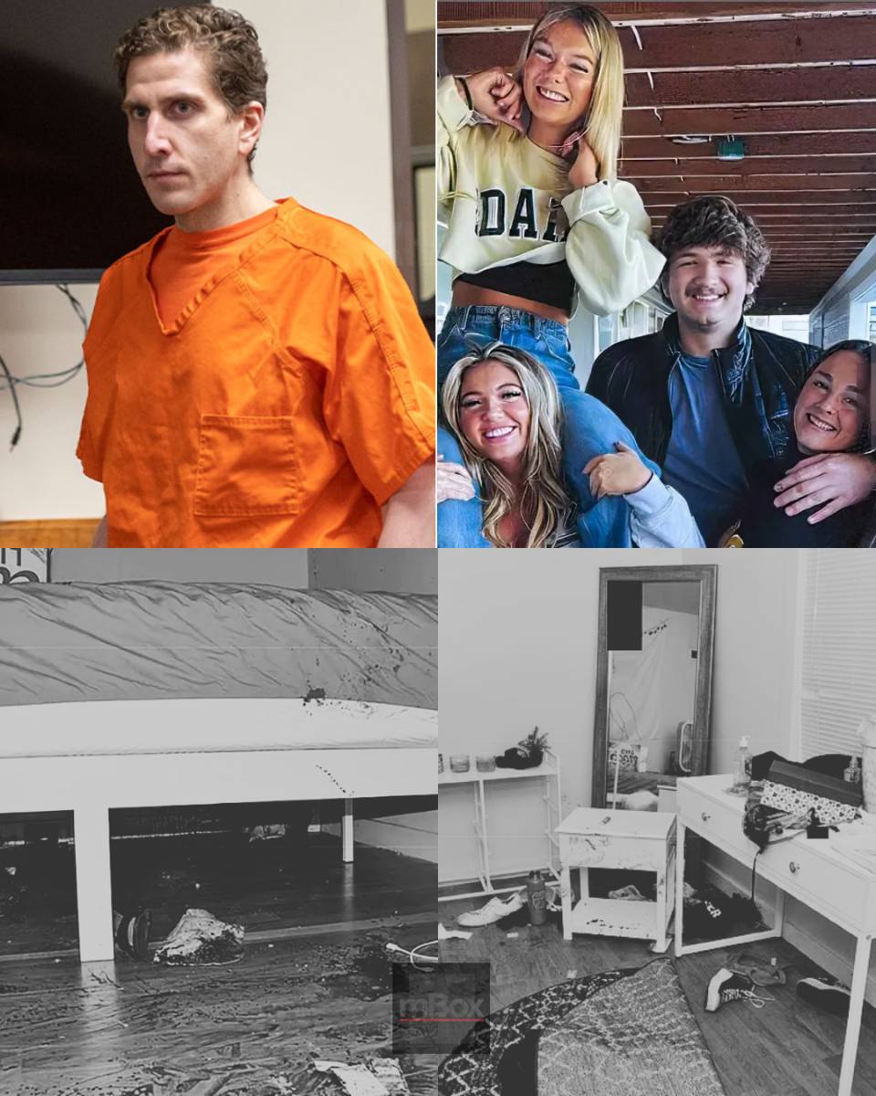 What did the Idaho student victims truly go through in their final moments? Unsealed autopsy reports raise haunting questions as experts disclose they endured a HIGH DEGREE OF SUFFERING. Utterly devastating revelation.