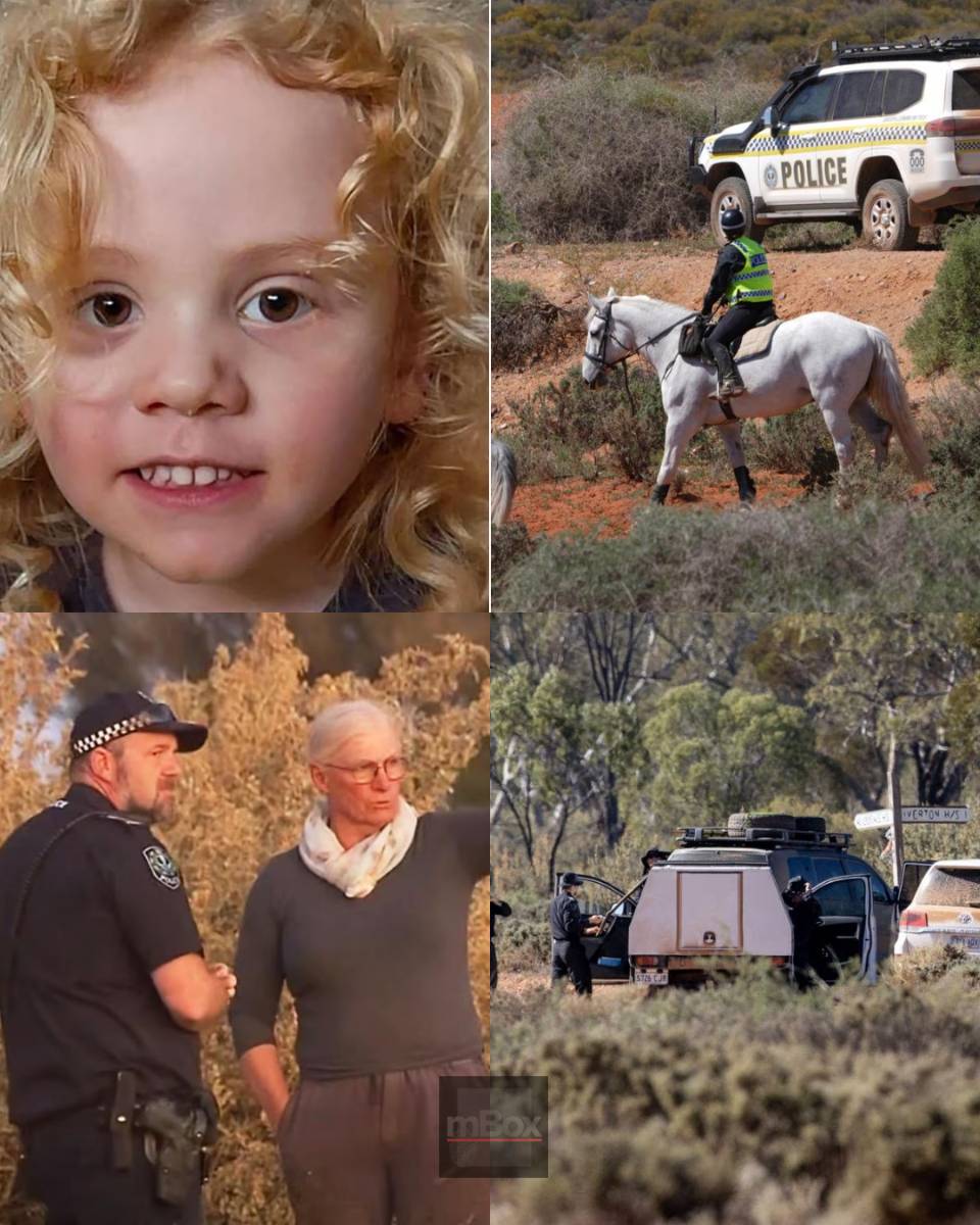 Could Gus Lamont still be alive? Expert reveals the HIDDEN CLUE keeping the investigation wide open... This changes everything!