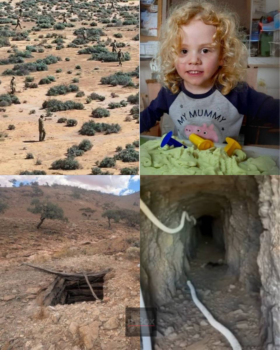 Are search teams looking in the WRONG PLACE? Bombshell new expert theory suggests missing Gus Lamont could be miles outside the active zone.