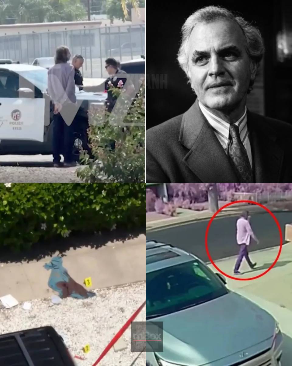 First chilling look at the suspect in handcuffs following the BRUTAL SLAYING of a 'Top Gun: Maverick' star... SO UTTERLY SENSELESS!