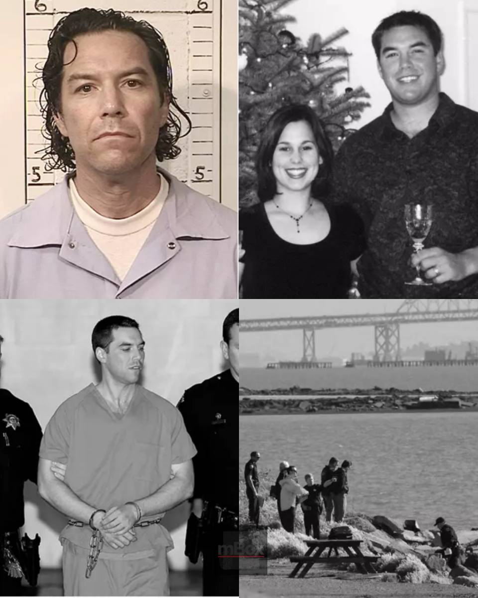 What a shock! Inside the sudden, high-stakes legal battle revealing WHY THE INNOCENCE PROJECT is fighting to overturn the Scott Peterson conviction