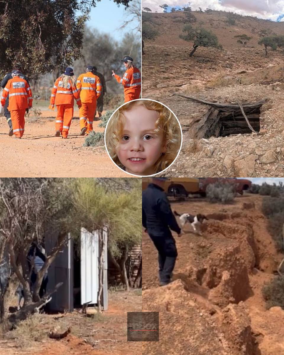 Could this be the breakthrough? Police drop bombshell update in the frantic search for missing Gus Lamont as a devastating new lead points to A CHILLING TWIST that changes everything...