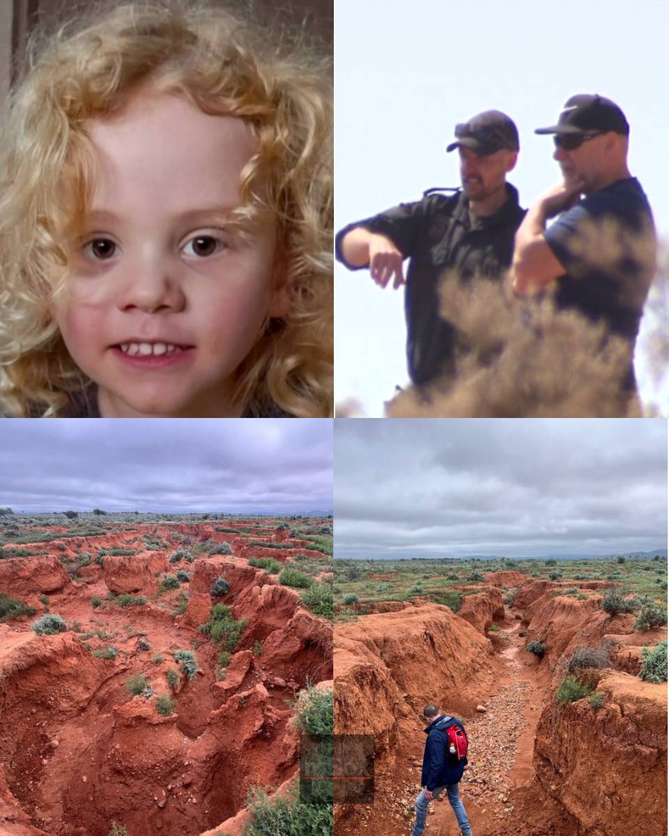 An absolute nightmare! Fresh outback search for the missing boy takes a baffling turn as teams return with ABSOLUTELY NO TRACE—sparking fears of a much darker plot
