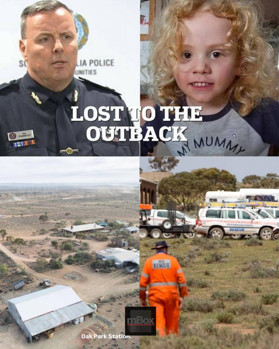 A LIVING NIGHTMARE! Chilling new twist in the agonizing search for missing 4-year-old Gus Lamont as police refuse to rule out an UNTHINKABLE SUSPICION